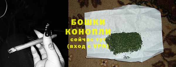 тгк Новодвинск