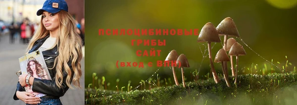 шишки Новокубанск