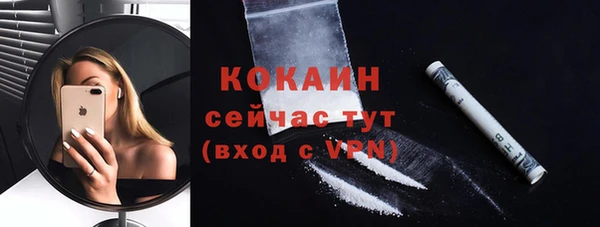 тгк Новодвинск