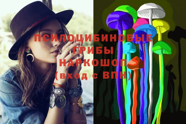 тгк Новодвинск