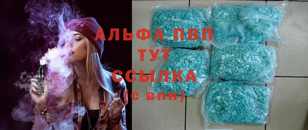 тгк Новодвинск