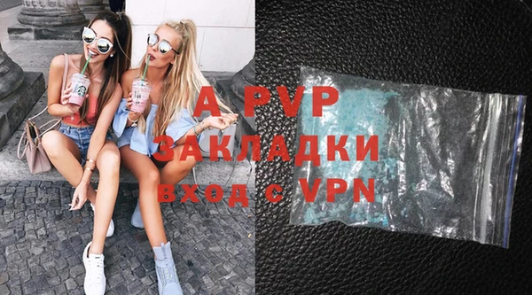 шишки Новокубанск