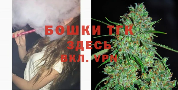 шишки Новокубанск